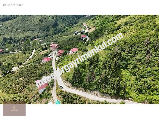Second slide