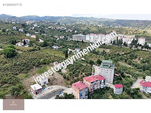 Second slide