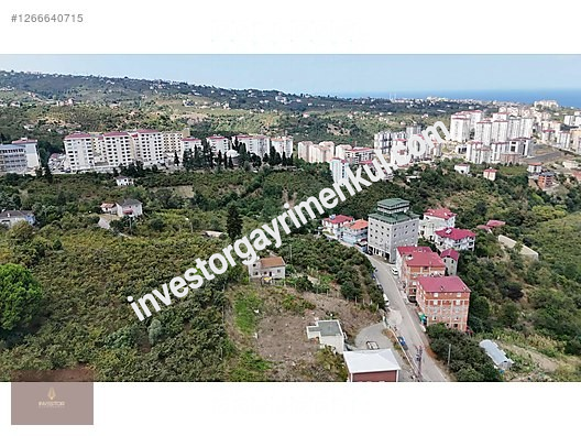 Second slide