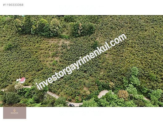 Second slide